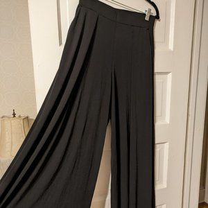 Express Wide Leg Pant